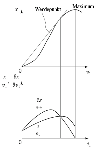 Abb. Ertragsgesetz